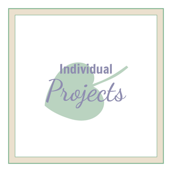 Individual Projects