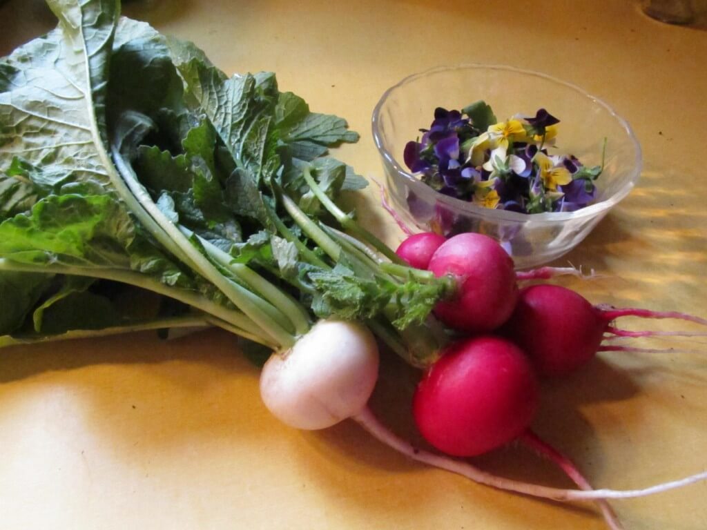 late spring salad—make it pretty with radish and johnny-jump-ups
