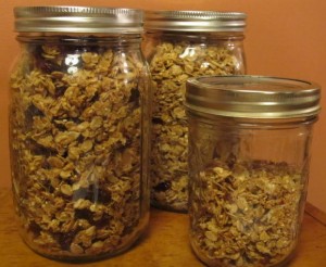 Homemade granola with dried cranberries